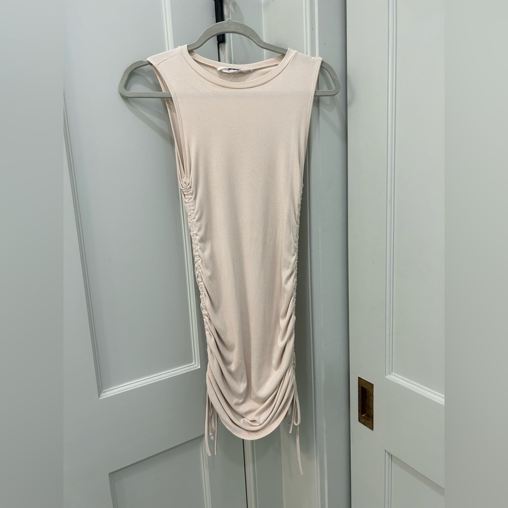 BB Dakota sinch dress (Small)